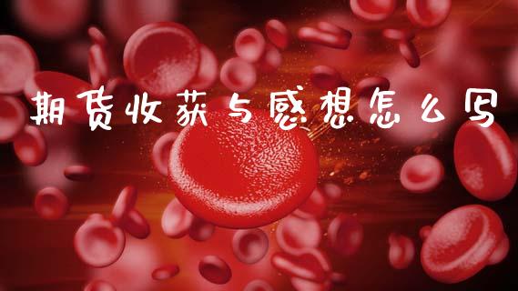 期货收获与感想怎么写_https://m.eyunqq.com_新股申购_第1张