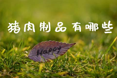 猪肉制品有哪些_https://m.eyunqq.com_融资融券_第1张