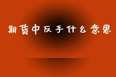 期货中反手什么意思_https://m.eyunqq.com_融资融券_第1张
