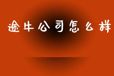 途牛公司怎么样_https://m.eyunqq.com_基金交易_第1张