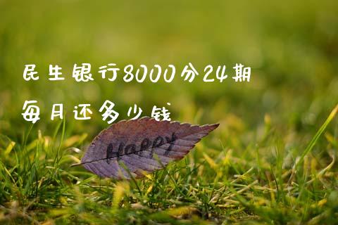民生银行8000分24期每月还多少钱_https://m.eyunqq.com_新股申购_第1张
