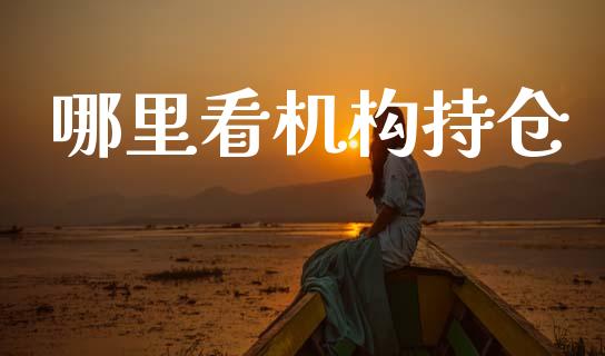 哪里看机构持仓_https://m.eyunqq.com_融资融券_第1张