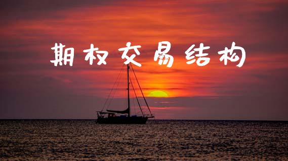 期权交易结构_https://m.eyunqq.com_基金交易_第1张