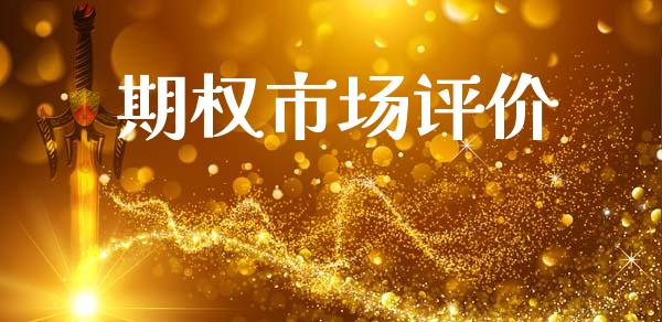 期权市场评价_https://m.eyunqq.com_期货投资学习_第1张