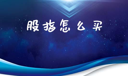 股指怎么买_https://m.eyunqq.com_期货投资学习_第1张