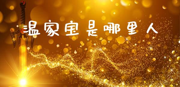 温家宝是哪里人_https://m.eyunqq.com_融资融券_第1张
