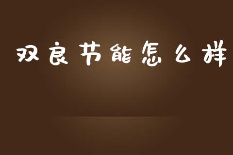 双良节能怎么样_https://m.eyunqq.com_新股申购_第1张