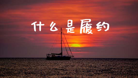 什么是履约_https://m.eyunqq.com_新股申购_第1张