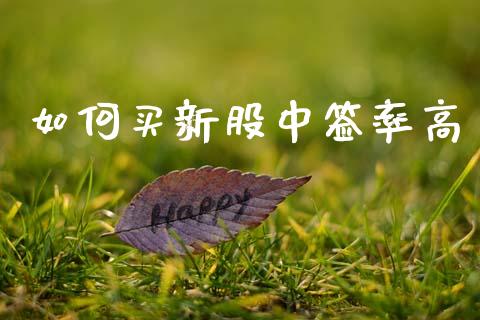 如何买新股中签率高_https://m.eyunqq.com_期货投资学习_第1张