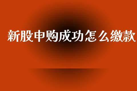 新股申购成功怎么缴款_https://m.eyunqq.com_基金交易_第1张