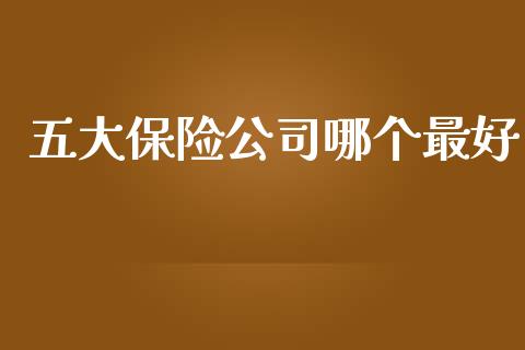 五大保险公司哪个最好_https://m.eyunqq.com_期货投资学习_第1张