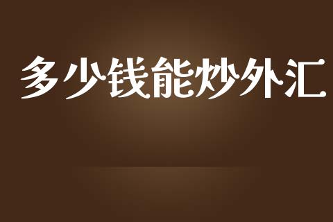 多少钱能炒外汇_https://m.eyunqq.com_期货投资学习_第1张
