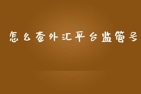 怎么查外汇平台监管号_https://m.eyunqq.com_融资融券_第1张