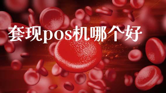 套现pos机哪个好_https://m.eyunqq.com_融资融券_第1张