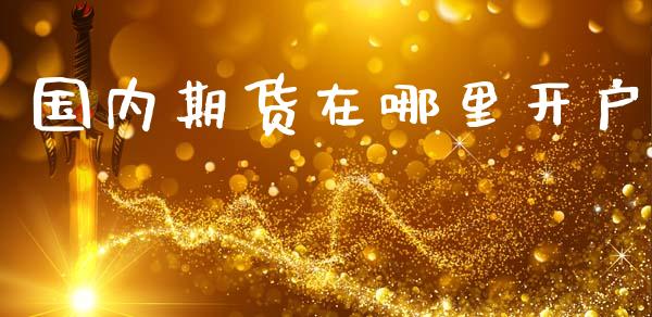 国内期货在哪里开户_https://m.eyunqq.com_新股申购_第1张