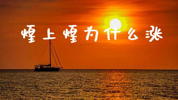 煌上煌为什么涨_https://m.eyunqq.com_基金交易_第1张