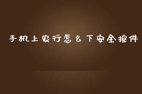 手机上农行怎么下安全控件_https://m.eyunqq.com_新股申购_第1张
