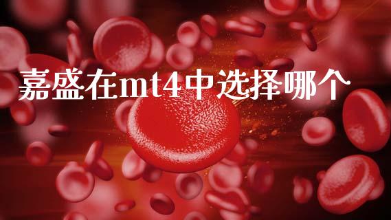 嘉盛在mt4中选择哪个_https://m.eyunqq.com_期货投资学习_第1张