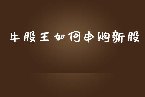 牛股王如何申购新股_https://m.eyunqq.com_新股申购_第1张