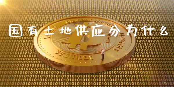 国有土地供应分为什么_https://m.eyunqq.com_融资融券_第1张