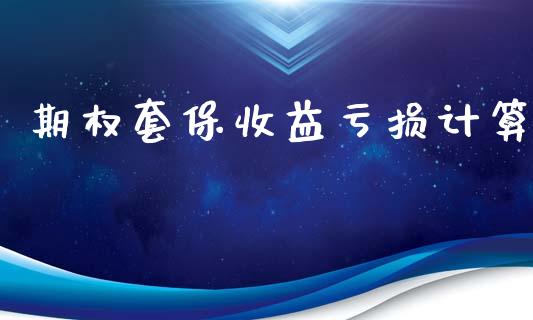期权套保收益亏损计算_https://m.eyunqq.com_融资融券_第1张
