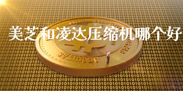 美芝和凌达压缩机哪个好_https://m.eyunqq.com_新股申购_第1张