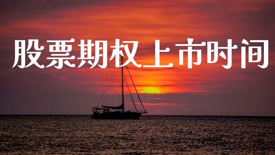 股票期权上市时间_https://m.eyunqq.com_基金交易_第1张