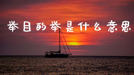 举目的举是什么意思_https://m.eyunqq.com_融资融券_第1张