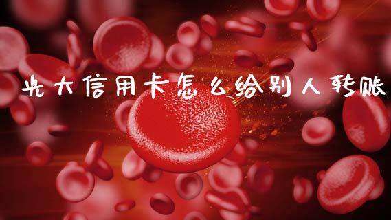 光大信用卡怎么给别人转账_https://m.eyunqq.com_基金交易_第1张