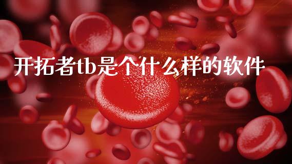 开拓者tb是个什么样的软件_https://m.eyunqq.com_基金交易_第1张