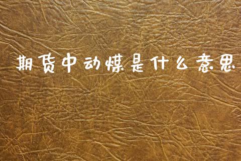 期货中动煤是什么意思_https://m.eyunqq.com_期货投资学习_第1张