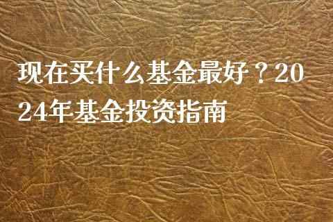 现在买什么基金最好？2024年基金投资指南_https://m.eyunqq.com_基金交易_第1张