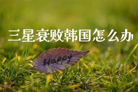 三星衰败韩国怎么办_https://m.eyunqq.com_基金交易_第1张