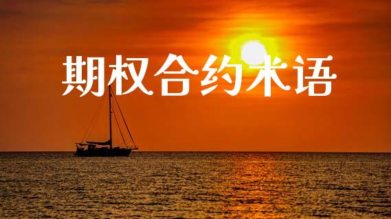 期权合约术语_https://m.eyunqq.com_期货投资学习_第1张