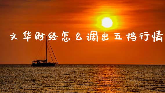 文华财经怎么调出五档行情_https://m.eyunqq.com_融资融券_第1张