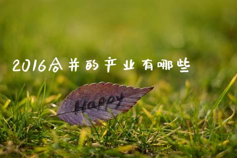 2016合并的产业有哪些_https://m.eyunqq.com_期货投资学习_第1张
