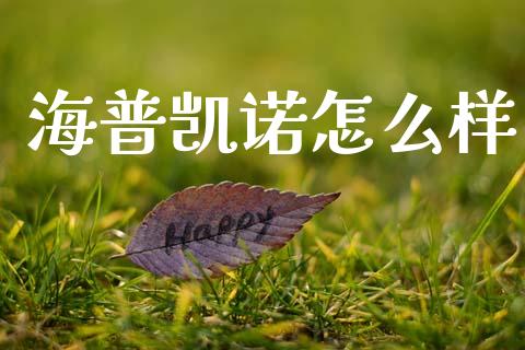海普凯诺怎么样_https://m.eyunqq.com_融资融券_第1张