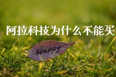 阿拉科技为什么不能买_https://m.eyunqq.com_期货投资学习_第1张