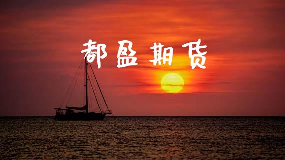 都盈期货_https://m.eyunqq.com_期货投资学习_第1张