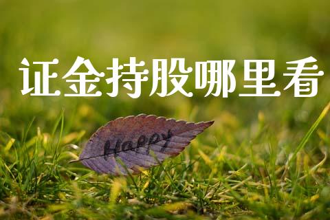 证金持股哪里看_https://m.eyunqq.com_融资融券_第1张