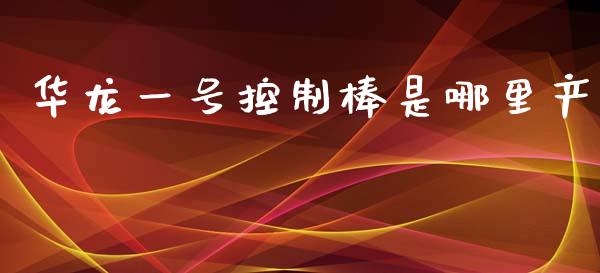 华龙一号控制棒是哪里产_https://m.eyunqq.com_期货投资学习_第1张