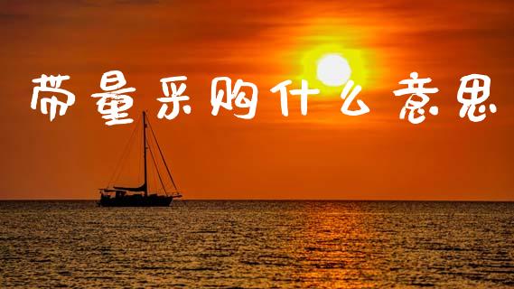 带量采购什么意思_https://m.eyunqq.com_期货投资学习_第1张