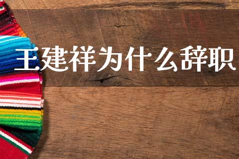 王建祥为什么辞职_https://m.eyunqq.com_期货投资学习_第1张