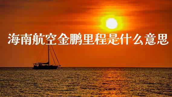 海南航空金鹏里程是什么意思_https://m.eyunqq.com_基金交易_第1张