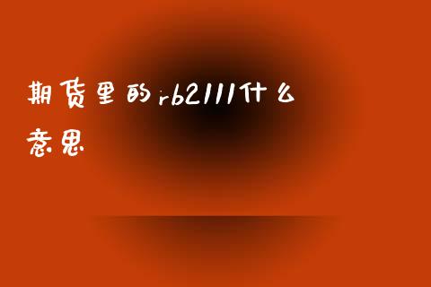 期货里的rb2111什么意思_https://m.eyunqq.com_融资融券_第1张