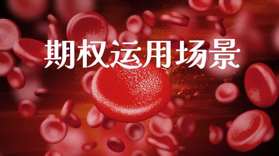 期权运用场景_https://m.eyunqq.com_基金交易_第1张