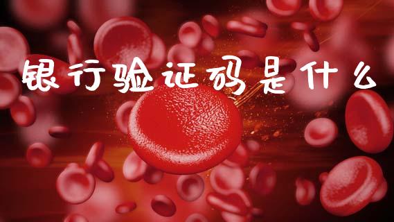 银行验证码是什么_https://m.eyunqq.com_融资融券_第1张