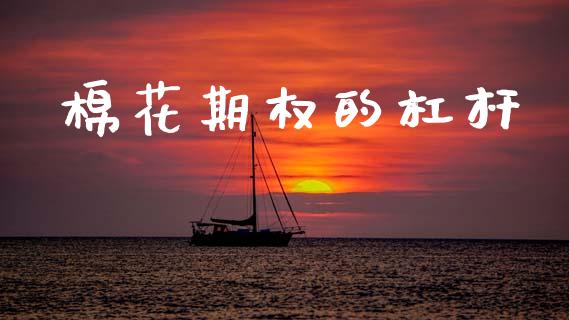 棉花期权的杠杆_https://m.eyunqq.com_期货投资学习_第1张