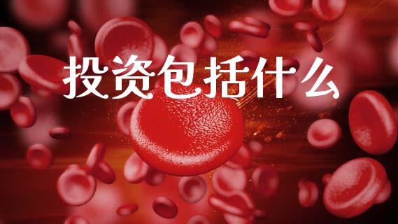 投资包括什么_https://m.eyunqq.com_期货投资学习_第1张