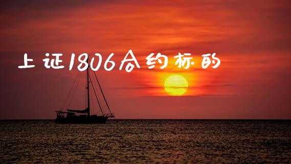 上证1806合约标的_https://m.eyunqq.com_期货投资学习_第1张